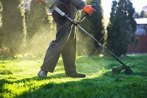 Green Edge Property Maintenance garden