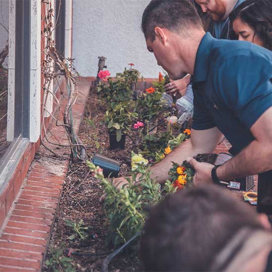 Green Edge Property Maintenance services